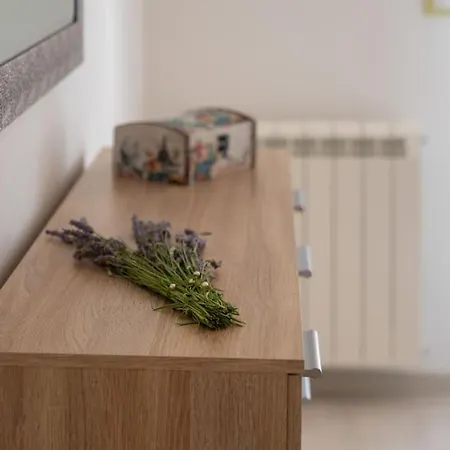 House Herceg By Briskva * Umag